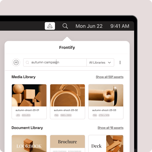 2_frontify_platform_desktop-app