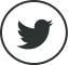 Twitter Icon